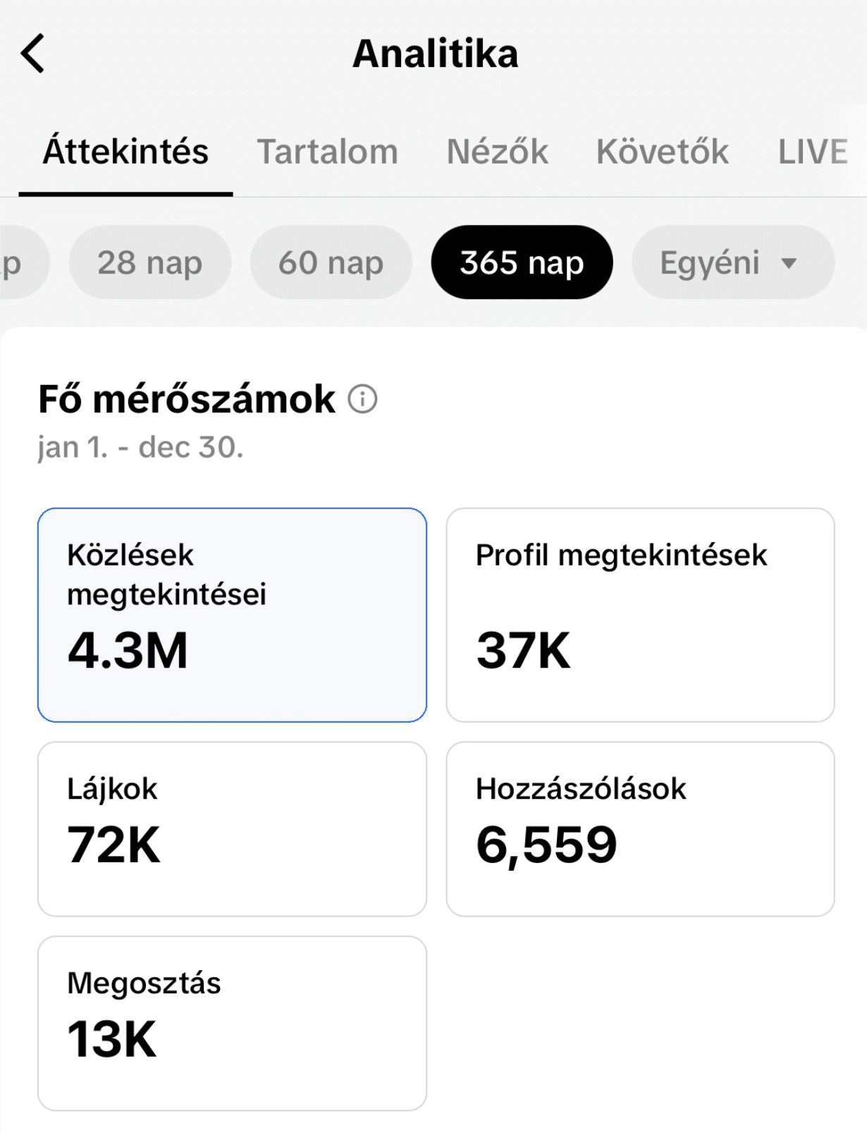 Tiktok analitika 2024
